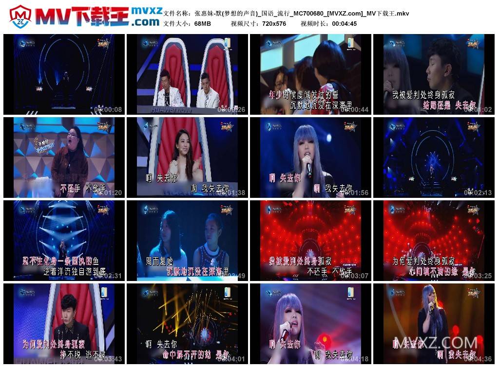张惠妹-默(梦想的声音)_国语_流行_MC700680